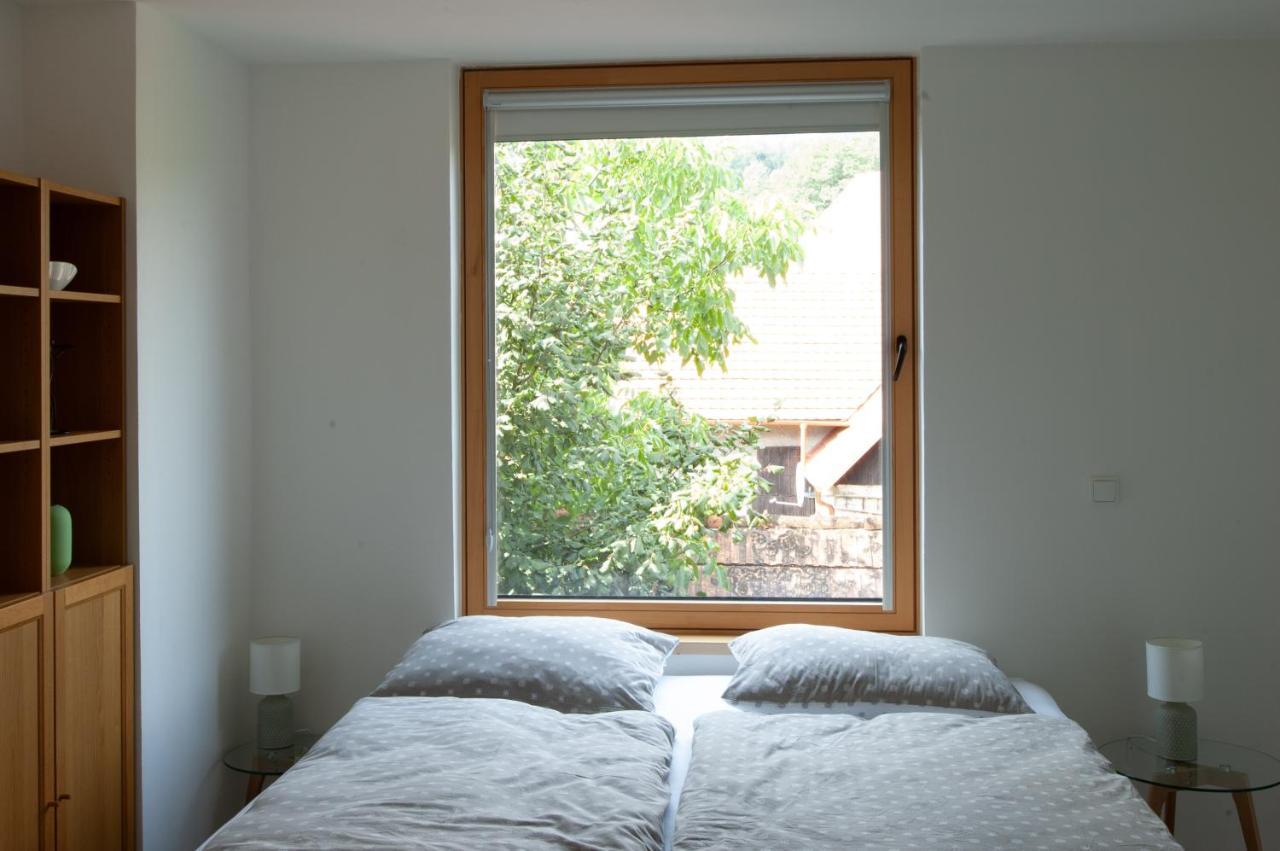 Pension Merano Jetrichovice  ภายนอก รูปภาพ