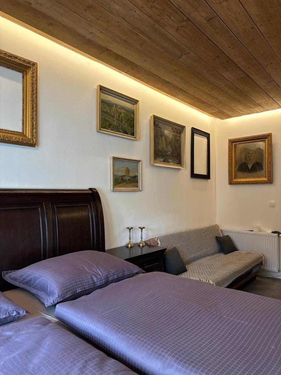 Pension Merano Jetrichovice  ภายนอก รูปภาพ