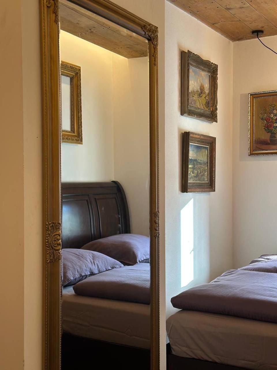 Pension Merano Jetrichovice  ภายนอก รูปภาพ